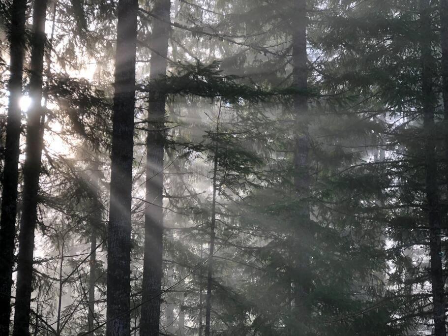 The Cabin In Packwood Luaran gambar