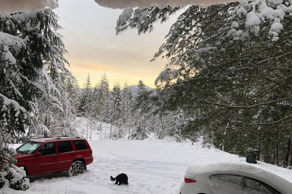 The Cabin In Packwood Luaran gambar