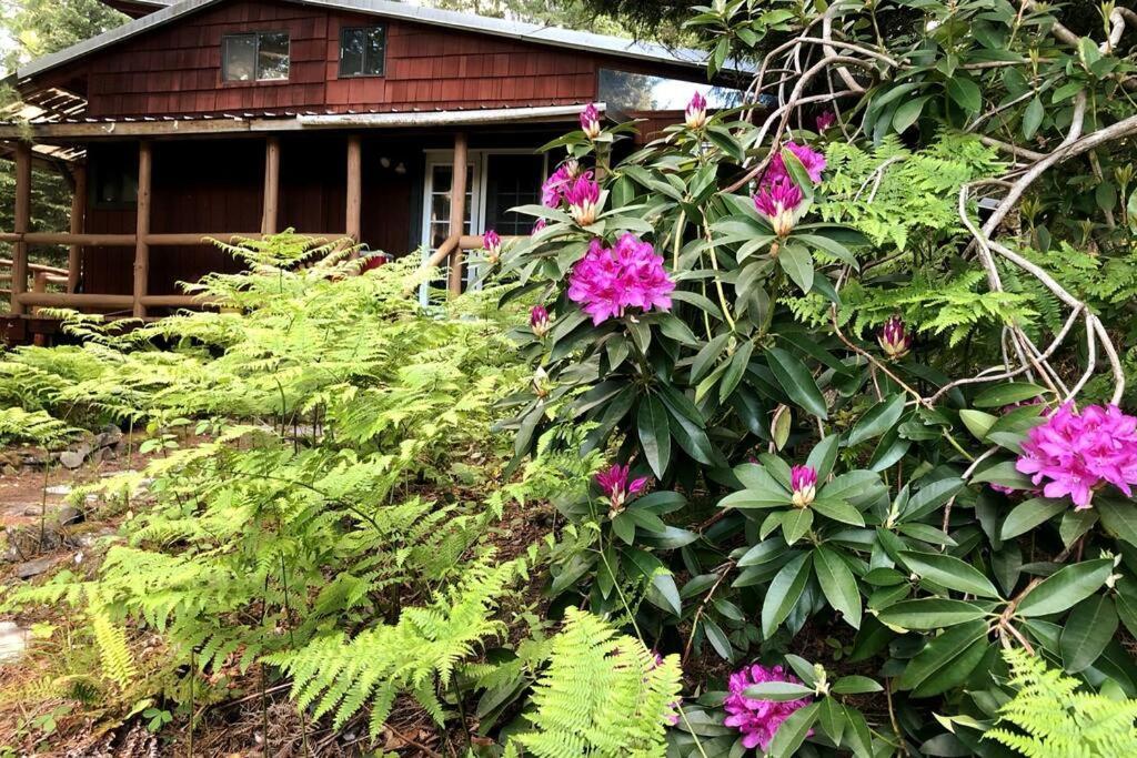 The Cabin In Packwood Luaran gambar